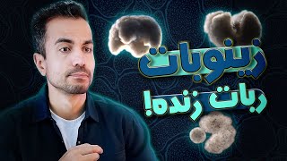 زینوبات، ربات زنده