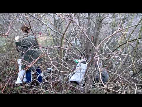 ეკო_ტური კოჯორში \"მოლაშქრეთა კლუბი ფენიქსი\"