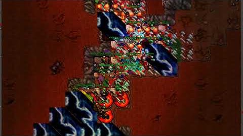 EXECUTIONS KAMYS TS3noRECORD - DINERA.NET