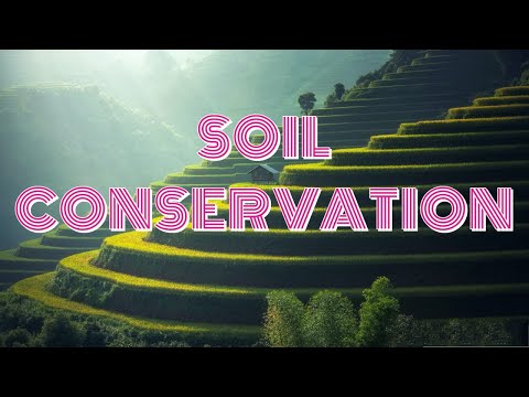Видео: Контур хагалах техник нь хөрсийг хэрхэн хамгаалдаг вэ?