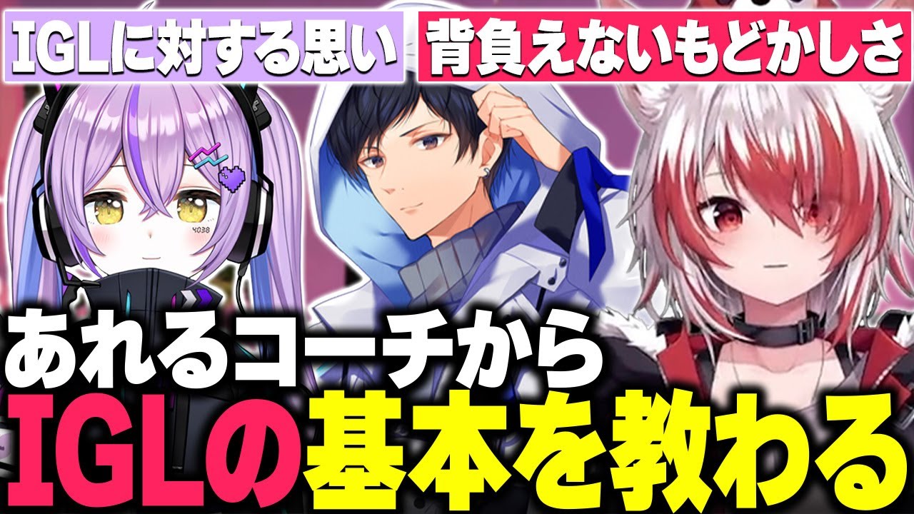 【V最協】あれるコーチからIGLの基本を教わるこはく達/2万時間プレイしてやっとAPEXの難しさを知った秋雪こはく【APEX/秋雪こはく 切り抜き 紫宮るな 如月れん あれる V最協S6】