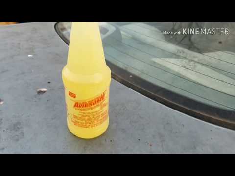 How To Clean Mold and Tree Sap off A Car, The Fast Easy Way