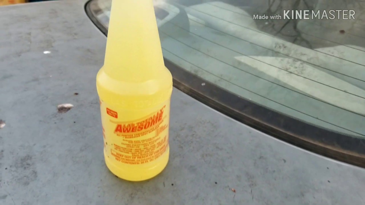 The BEST Tree Sap Removal Product for your Car is? 