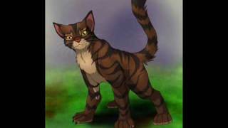 Tigerstar and Hawkforst-So Cold