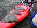 Cascadia Kayak Angler: Nisqually Delta Starry Flounder