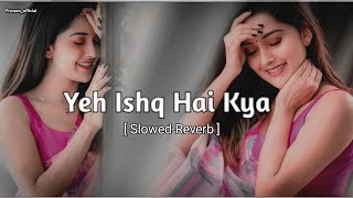 Download lagu Yeh Ishq Hai Kya |Slowed_Reverb|Alka Yagnik Kumar Sanu  Lofimusic 90's_Song