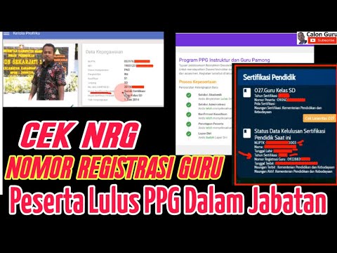 Cara Cek NRG (Nomor Registrasi Guru) Sertifikasi Tahun 2022 Terbaru Secara Online | Calon Guru