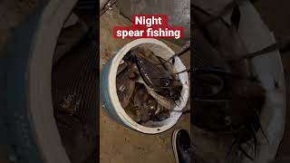 Night spearfishing