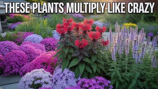 15 Forgotten Garden Features Every American Backyard Used to Have 🇺🇸