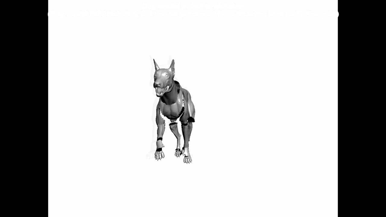 Canine Skeleton - Trot Cycle Demo Clips