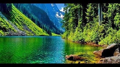 سورة المائدة (نصف الحزب 11 ) القارئ علي جابر