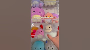 Squishmallows 💪 #squish #squishhunt #squishmallows #squishtok #short #shorts #viralvideo #viral