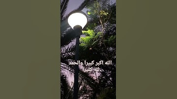 سورة الزمر القرآن الكريم