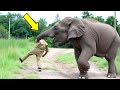 Elephant Recognizes Vet Who Saved Him 12 Years Ago – What Happens Next is Unbelievable!!