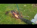 Absolutely the fastest way to burn a stump