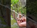This knot is so effective, strong and reliable! #rope