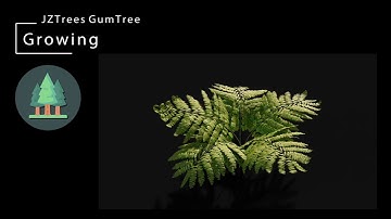 JZTrees Growing Fern