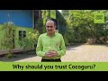 Why should you trust cocoguru