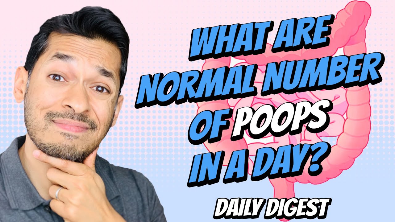 What Are Normal Number Of Poops In A Day? YouTube