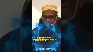 Aqoon Laaan Waxba Noqon Meysid| Muxaadaro By Sheikh Mustafa Ismail Harun