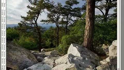 Resizing and Uprezing Images in Adobe Photoshop Tutorial