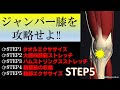 vol.36 ジャンパー膝には、ストレッチと骨盤の動きが重要‼