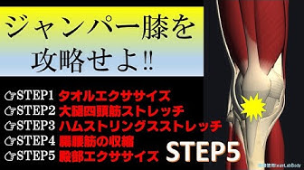 膝蓋腱炎 Youtube 膝蓋腱炎 Youtube