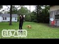 3T Brax - Dog Food (Official Music Video)
