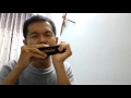 hello - harmonica cx12