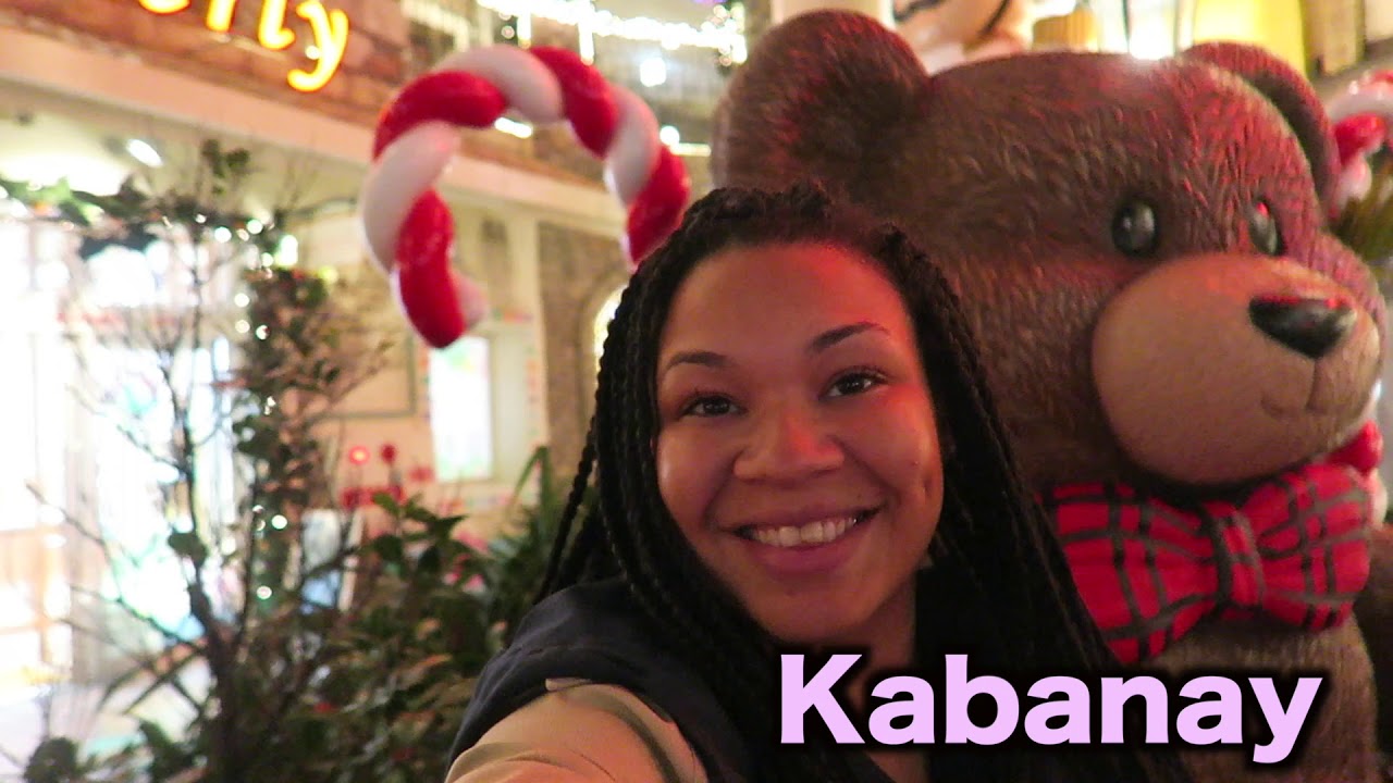 VLOGMAS INTRO 2019 NEW FAMILY MEMBER WHITAKERSWAY