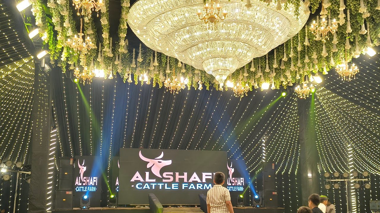 GRAND OPENING💪 OF AL-SHAFI CATTLE FARM 🎉|AL-SHAFI CATTLE FARM|