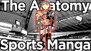 The Art and Anatomy of Sports Manga