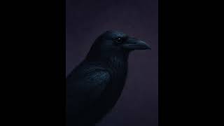 THE RAVEN – GRI | RME