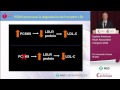 Aterosclerosis y Lípidos. Dr. Fernando Civeira. Update American Heart Association Congress 2012.