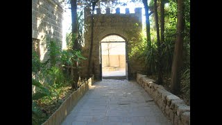 מתחברים אל הרב קוק