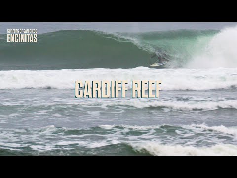 Early Mornings At Cardiff Reef