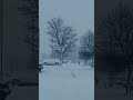 Snowstorm | Ontario | Canada