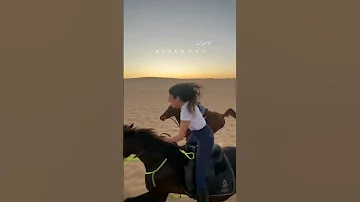 مفيش اجمد من كده عالهدا تمشي بهدا ادللي اجمل حالات الواتس اب 