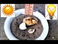 HATCH EGGS WITHOUT ANY INCUBATOR AT HOME 100% REAL VIDEO ....