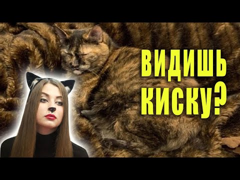 #Shorts Самый быстрый способ, как одной линией без отрыва руки нарисовать кошку