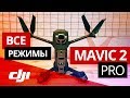 Все режимы Mavic 2 Pro. Летаем в лесу на Active Track.