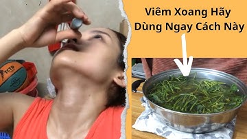 Cách chữa viêm xoang viêm mũi dị ứng bằng cây hoa ngũ sắc (hoa c.ứt lợn)