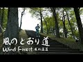 久石讓《風的通道 風のとおり道》（電影「龍貓」配樂）小提琴版本 | Violin【Cover by AnViolin】