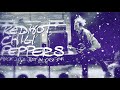 Red Hot Chili Peppers F*ck 2021 Just In Case #41 - Josh Klinghoffer Era Mashup, Live Compilation
