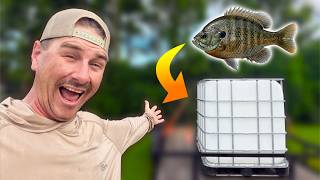 Making and Stocking a Homemade Bait Tank to Catch GIANT Catfish!