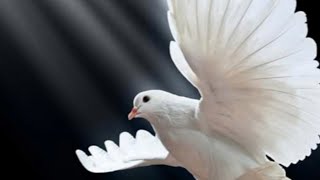 The Truth Will Make You Free - Live Tonight 730p CST 🇺🇸