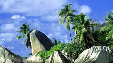 الشيخ محمد عبد العزيز حصان -سورة الأنعام