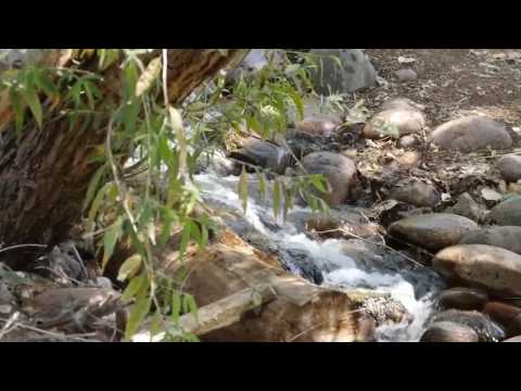 Video: Area Restorasi Habitat Rio Salado