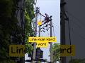 line man Hard work #shortfeed #lineman #hardwork #11kvline #viralvideo #electrical #viral #hardwork