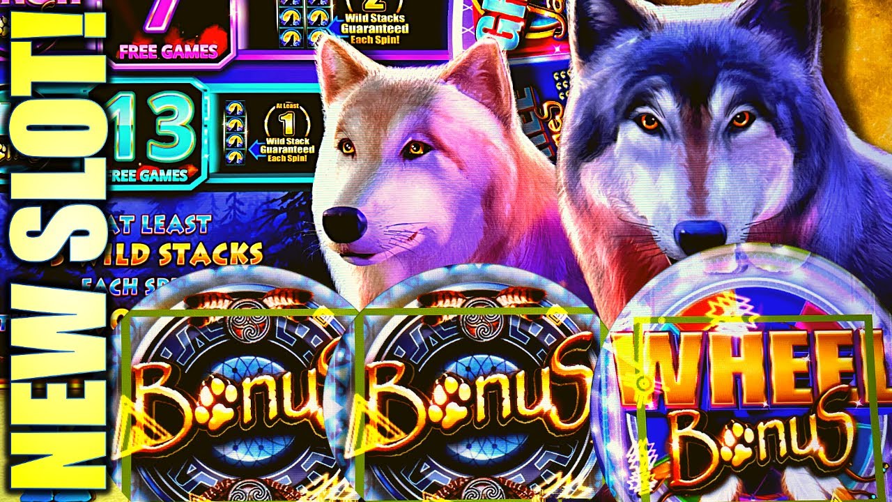 wolf casino